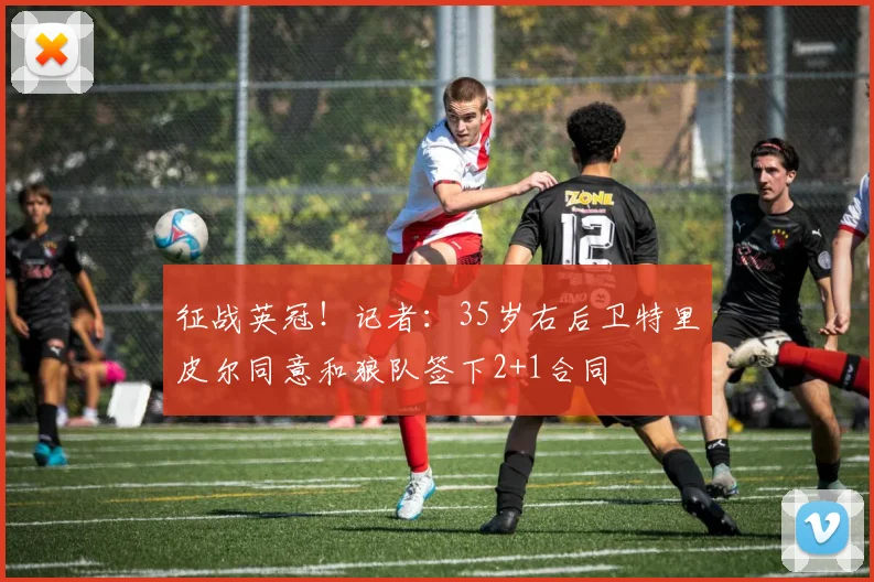 征战英冠！记者：35岁右后卫特里皮尔同意和狼队签下2+1合同